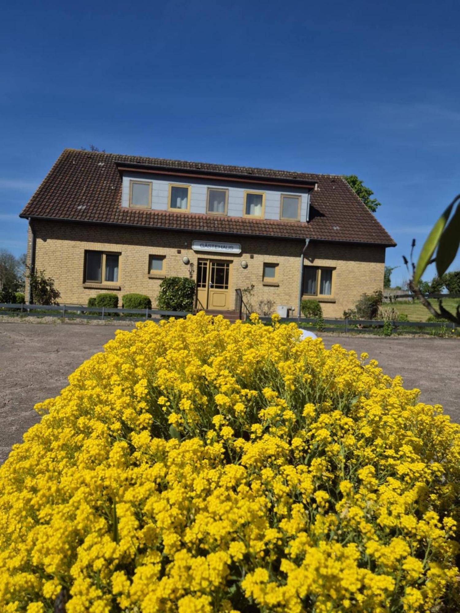 Hotel Panorama Wees Esterno foto